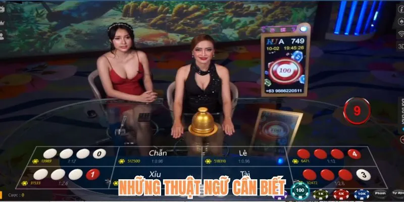 Những thuật ngữ cần biết khi chơi